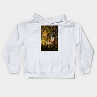 Forest Light Kids Hoodie